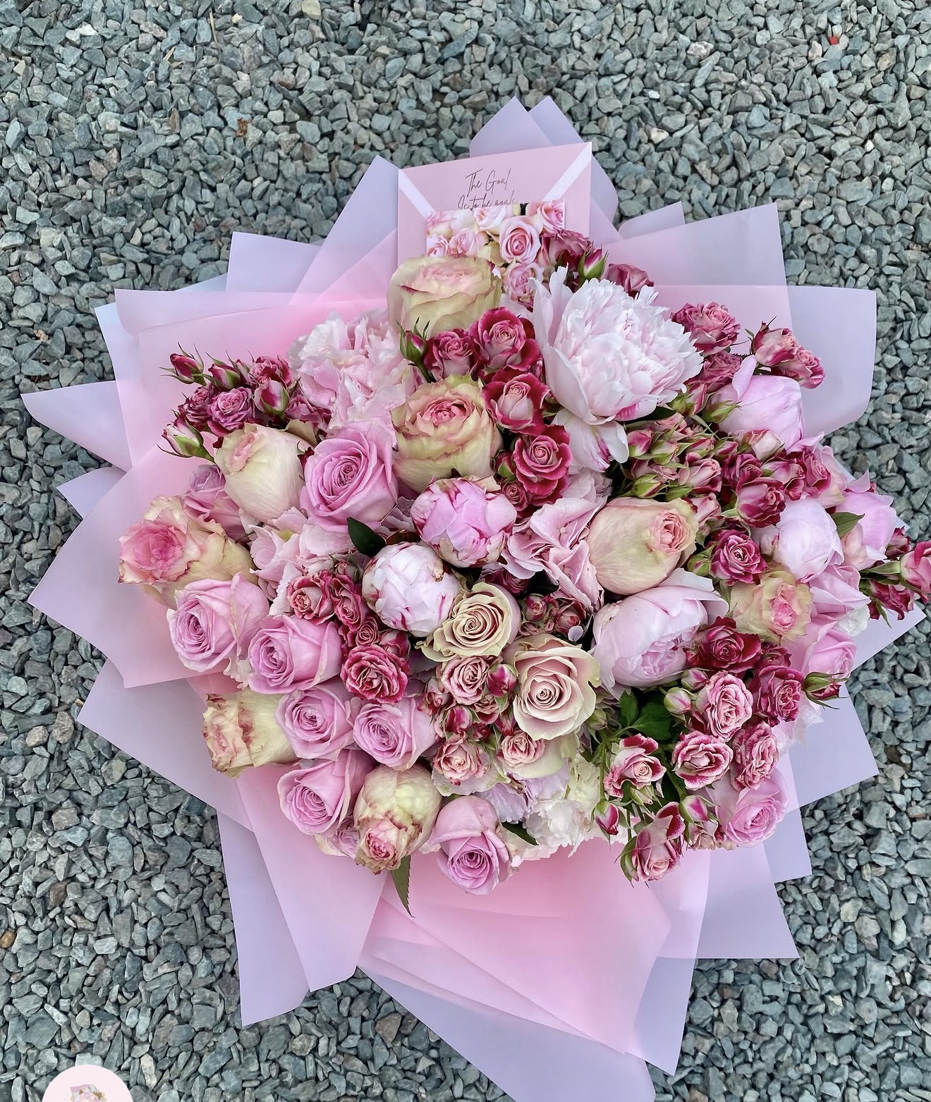 Penelope’s Princess